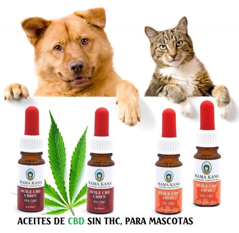 ACEITES DE CBD SIN THC, PARA MASCOTAS